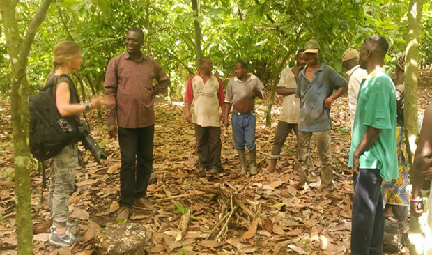 un documentaire sur le chocolat togolais
