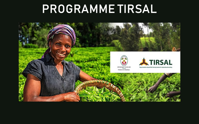 Togo:  Le mécanisme TIRSAL expliqué aux acteurs du secteur agricole