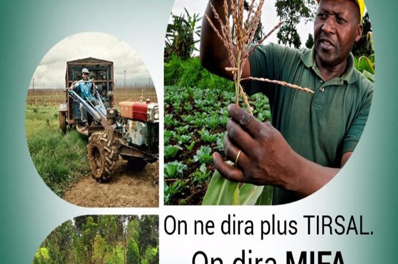Agriculture : Lancement du MIFA ce lundi 25 juin