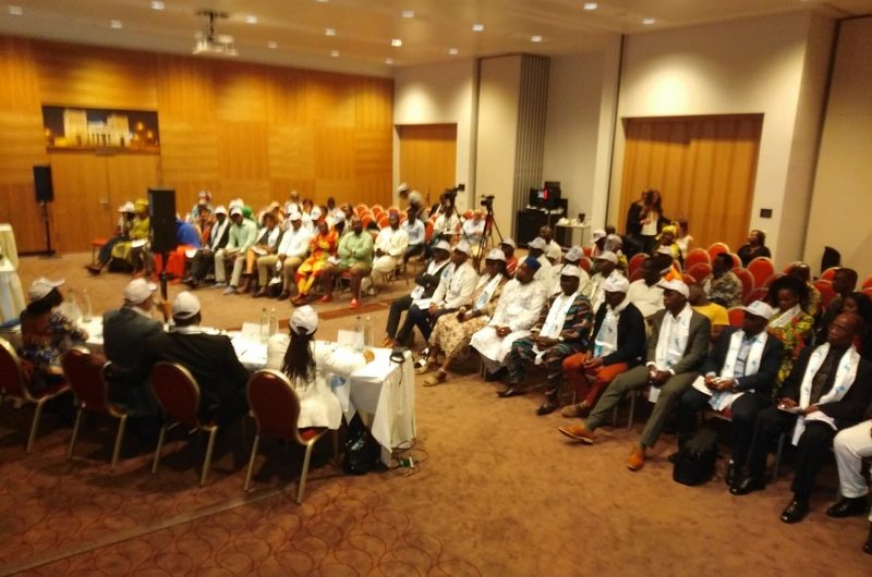 La diaspora togolaise menace des membres d’UNIR, la réaction de Gerry Taama