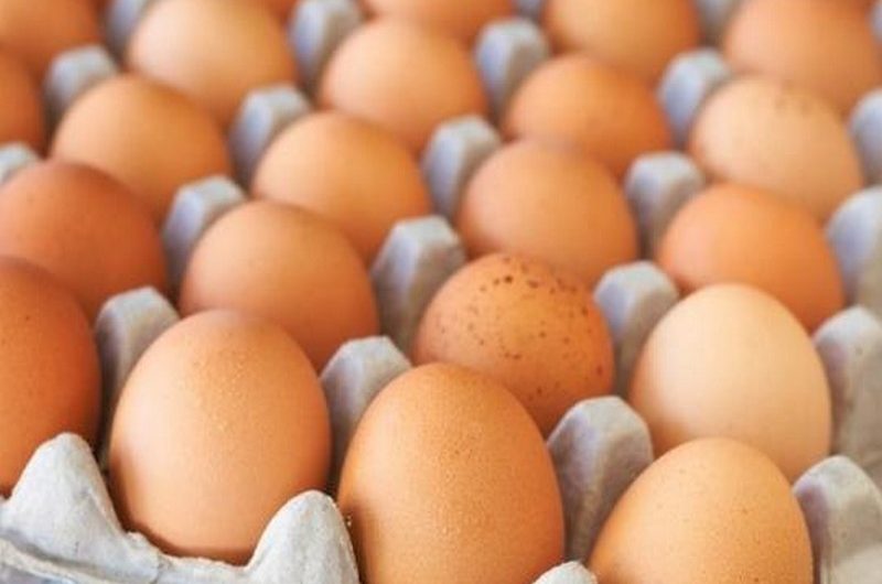 Togo: les raisons de la hausse du prix de l’œuf de poule sur le marché.