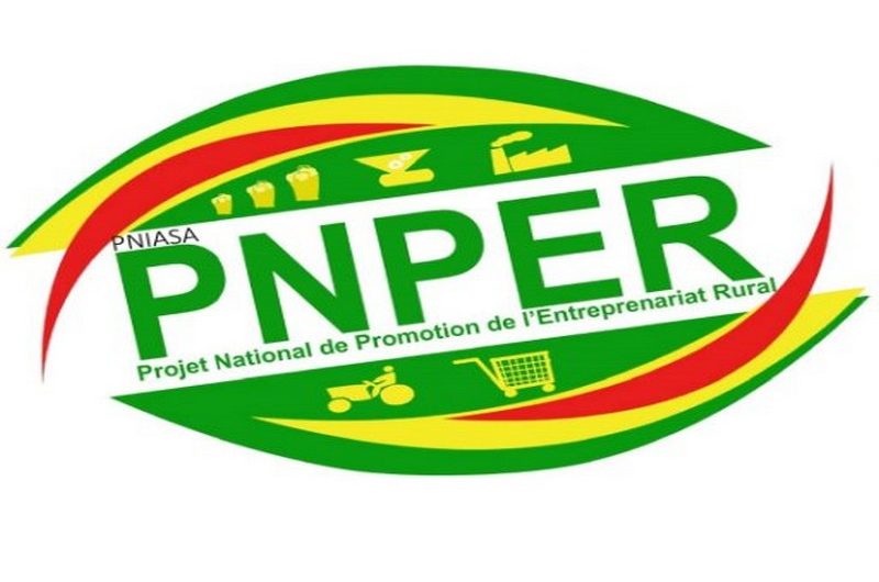 Togo: le gouvernement met fin au PNPER.