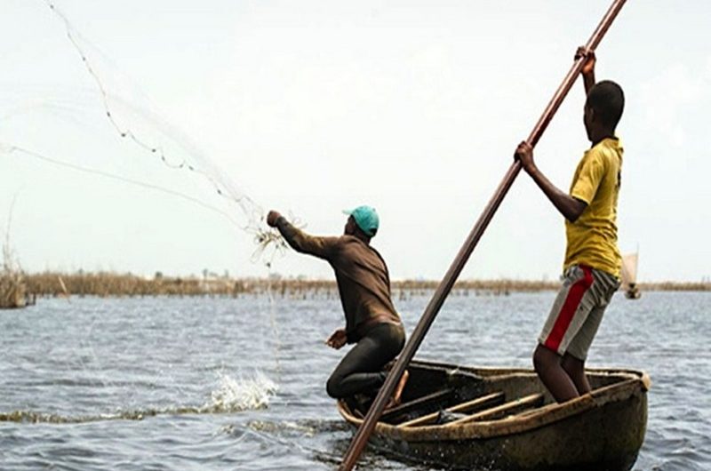 Togo: le repos biologique de retour sur le Lac Nangbéto.