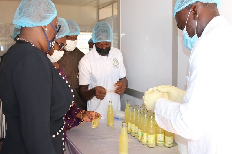 Togo: la ville de Tsévié accueille une usine de transformation de fruits et de légumes.
